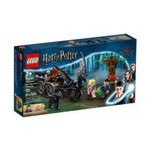 Lego Harry Potter Testrale I Kareta Hogwartu 76400