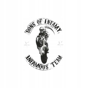 Naklejka Wlepka Infamous Team Sons Of Infamy
