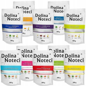 DOLINA NOTECI PREMIUM saszetka MIX SMAKÓW 10x 500g
