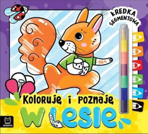 Aksj W Lesie Kredka Segmentowa 35060