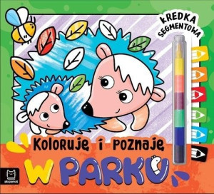 Aksj W Parku Kredka Segmentowa 35077