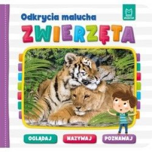 AKSJ odkrycia malucha zwierzęta 66365