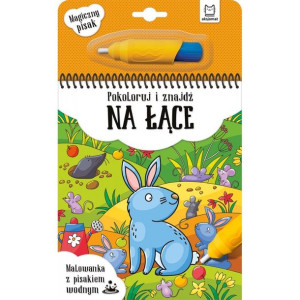 AKSJ 31765 pokoloruj i znajdź na łące