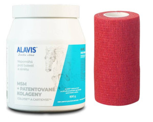 ALAVIS ™ MSM dla koni 600g przeciw stanom zapalnym i bólom + Kerbl Samoprzy
