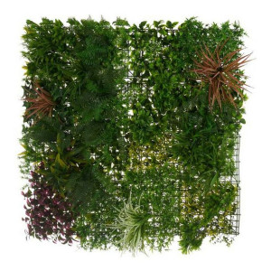 Zestaw do Ogrodu Wertykalnego Tropikalny Plastikowy (100 x 14 x 100 cm)
