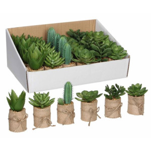 Roślina Dekoracyjna Mica Decorations PVC Sukulent