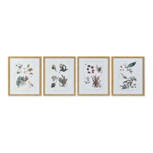 Obraz DKD Home Decor 43 x 3 x 53 cm Rośliny botaniczne (4 Części)