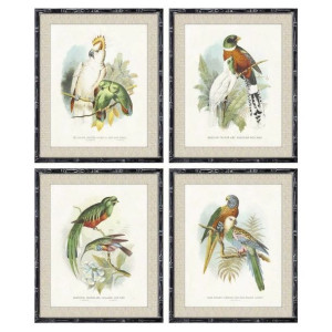 Obraz DKD Home Decor 50 x 2 x 60 cm Ptaki Nowoczesny (4 Części)