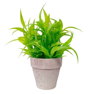 Roślina Dekoracyjna Versa Plastikowy Żelazo (10,5 x 23 x 10,5 cm)