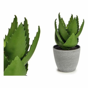 Roślina Dekoracyjna Aloe Vera Plastikowy (14 x 23 x 14 cm)