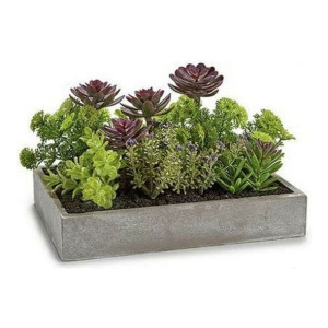 Roślina Dekoracyjna Prostokątny 16,5 x 20 x 28,5 cm Cement Plastikowy