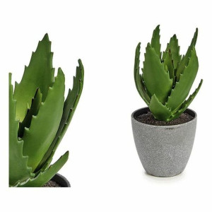 Roślina Dekoracyjna Aloe Vera Plastikowy (14 x 20 x 14 cm)