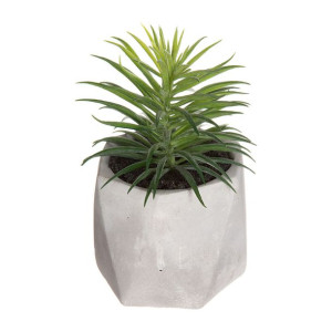 Roślina Dekoracyjna Atmosphera 7 x 14 cm PVC