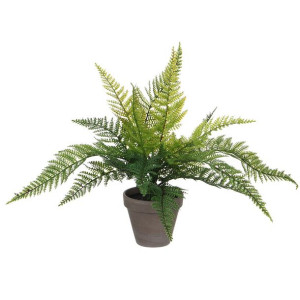 Roślina Dekoracyjna Mica Decorations 40 x 11,5 cm Ceramika PVC Paproć