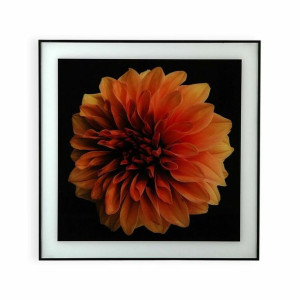 Obraz Versa Kwiat Szkło polistyrenu (2 x 60 x 40 cm)