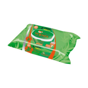 Chusteczki Nawilżające dla Zwierząt GILL'S XL 40 uds 30 x 20 cm