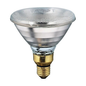 Żarówka żarowa Philips E27 175 W