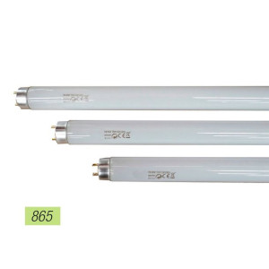 Rura fluorescencyjna EDM Belight Trójfosforan 3050 Lm 36 W (865 K)