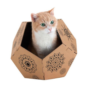 Zabawka dla kotów United Pets Tiger Brązowy Pudełko (45 x 47 x 38 cm)