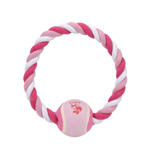 Piłka dla Zwierząt Hearts & Homies 22,9 cm
