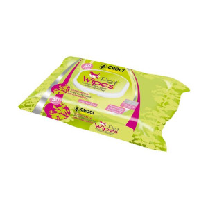 Chusteczki Nawilżające dla Zwierząt GILL'S XL 40 uds 30 x 20 cm