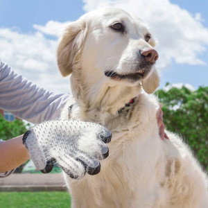 Rękawica do Czesania i Masowania Zwierząt Relpet InnovaGoods
