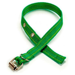 Obroża dla psa Mini (0,3 x 42 x 2 cm)