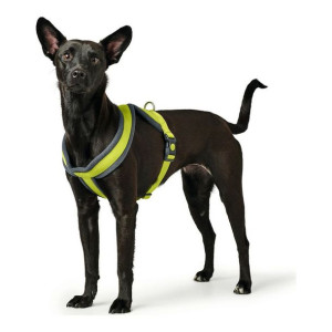 Szelki dla psa Hunter London Comfort XS-S 39-47 cm Limonka
