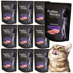 Dolina Noteci Premium Danie Dla Kota Królik 10x85g
