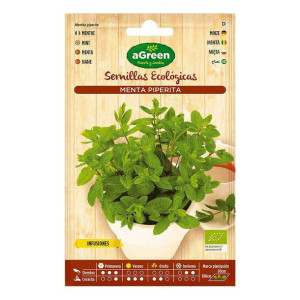 Nasiona aGreen Mięta Ekologiczne