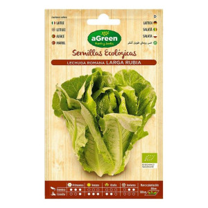 Nasiona aGreen Lechuga Ekologiczne
