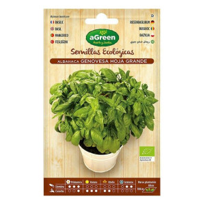 Nasiona aGreen Ekologiczne Bazylia