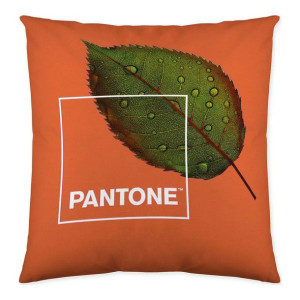 Poszewka na poduszkę Nature Pantone Odwracalny (50 x 50 cm)