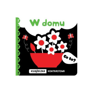 Co to? w domu książ.kont.