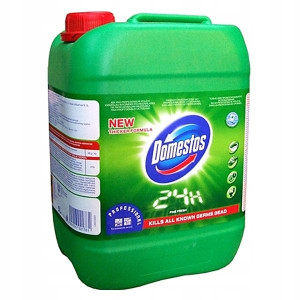 Domestos Fresh 5l