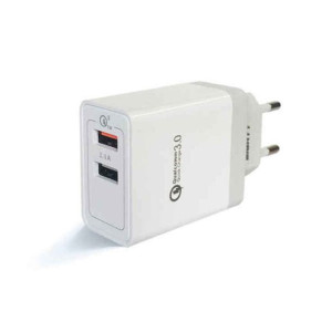 Ładowarka Ścienna Eightt EQC2V2 Biały 18 W