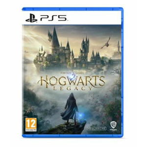 Gra wideo na PlayStation 5 Warner Games