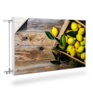 MASKOWNICA Magnetyczna Kaloryfera CYTRYNY Cytrusy Deski 90cm x 60cm
