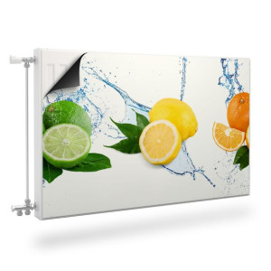 MASKOWNICA Magnetyczna Grzejnika Cytrusy Woda Owoce Abstrakcja 100cm x 60cm