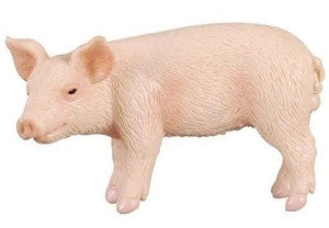 Collecta 88063 Prosię Stojące