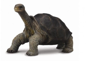 Collecta 88619 Żółw Z Wyspy Pinta