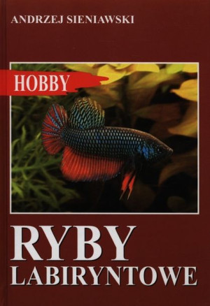 Ryby Labiryntowe Sieniawski Andrzej Książka Egros