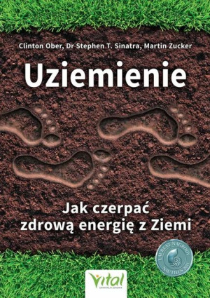 Uziemienie W 3 Książka Vital