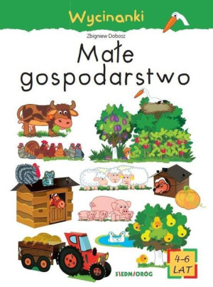 Wycinanki Małe Gospodarstwo Cichy Ludwik Książka