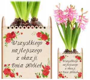 Prezent Upominek Doniczka Na Kwiatek Dzień Matki