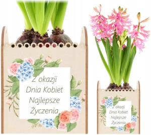 Prezent Upominek Doniczka Na Kwiatek Dzień Matki
