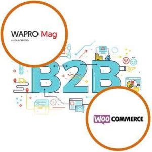 Platforma B2B dla WAPRO Mag - WooCommerce 30 dni