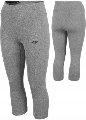 Damskie legginsy treningowe 4F SPDF350 szary S