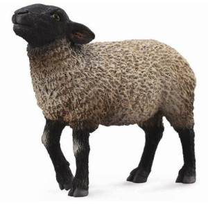 Collecta 88636 Owca Suffolk