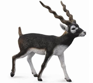 Collecta 88638 Antylopa Blackbuck